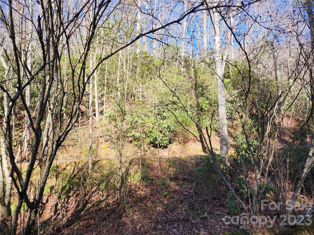 Champion Hills - Land