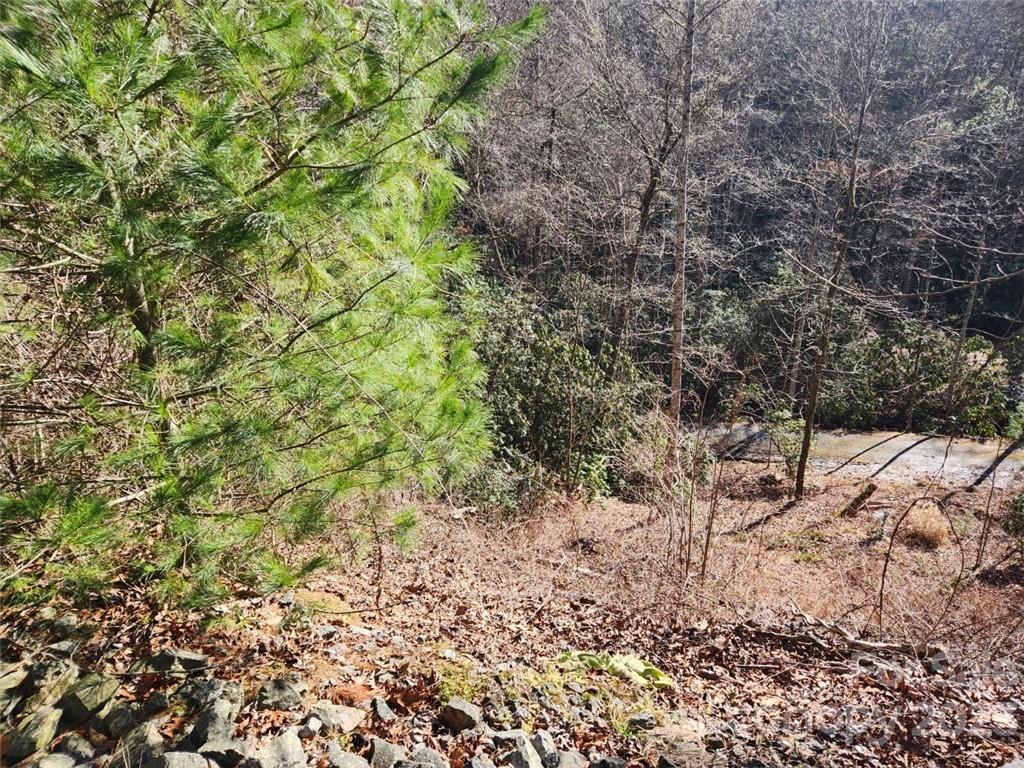 Champion Hills - Land