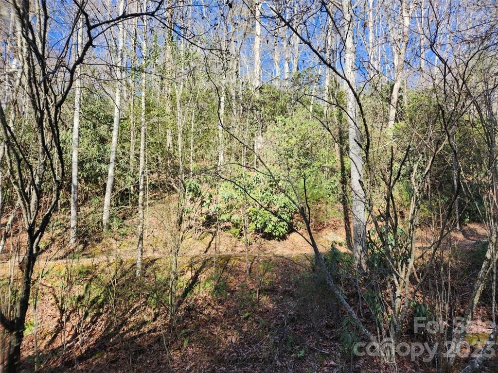 Champion Hills - Land