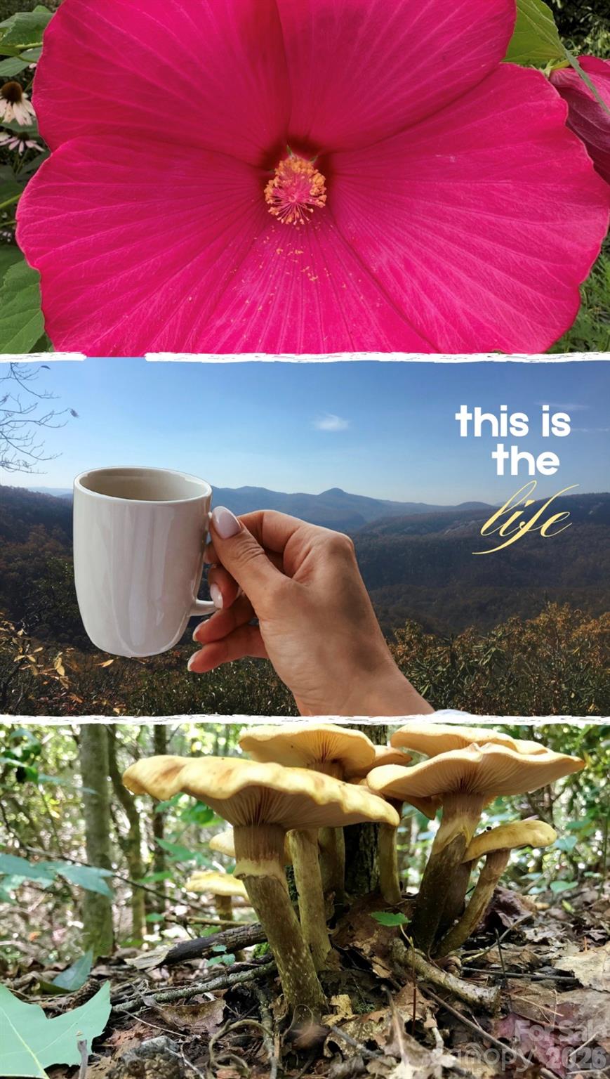 Whisper Hills - Residential