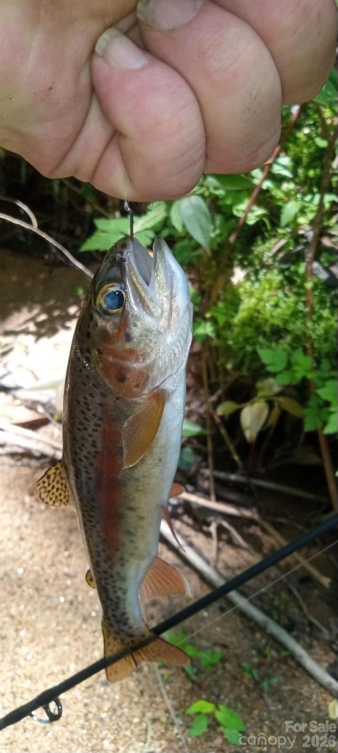 Whisper Hills - Residential