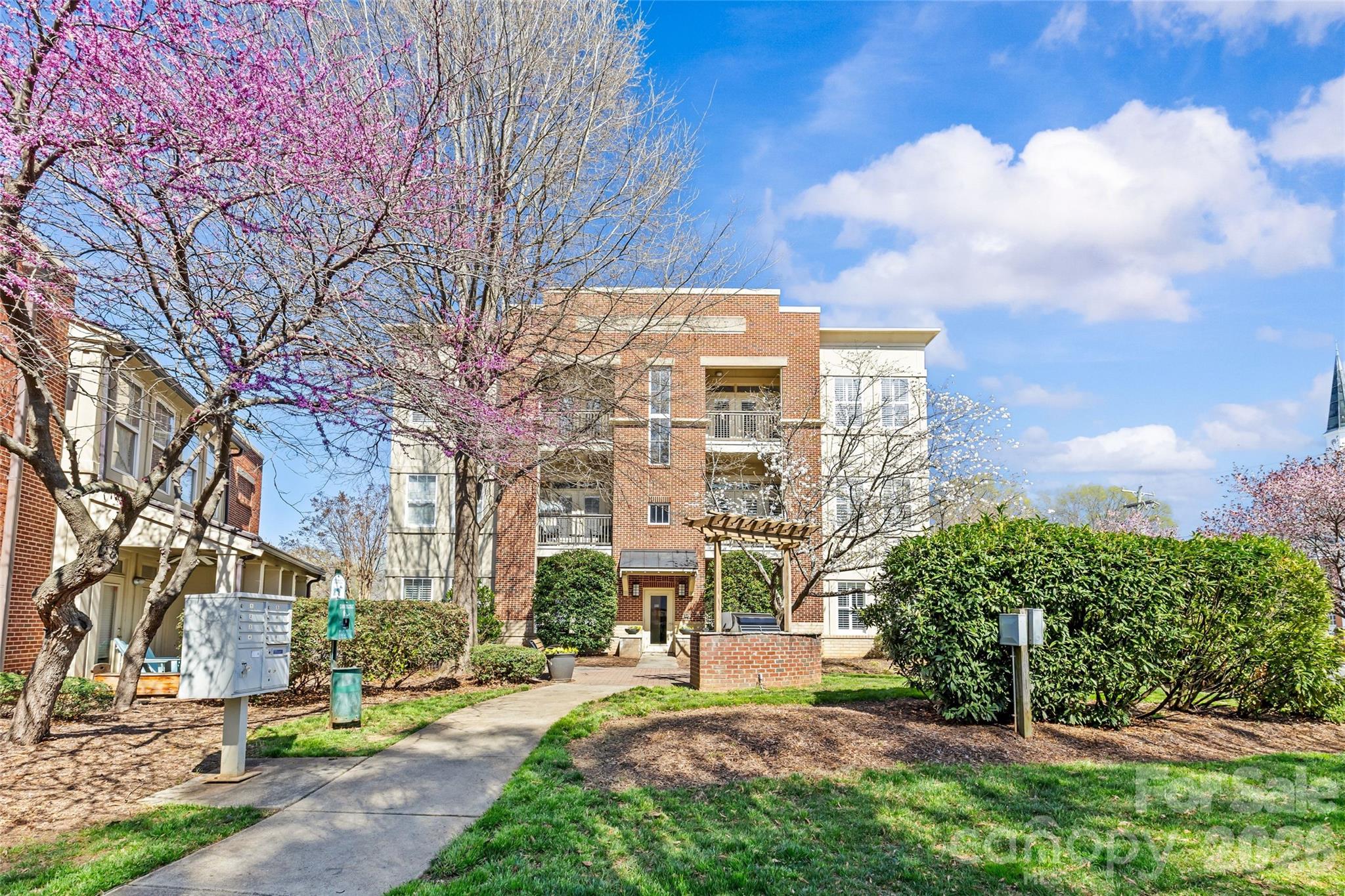 Selwyn Terrace - Residential