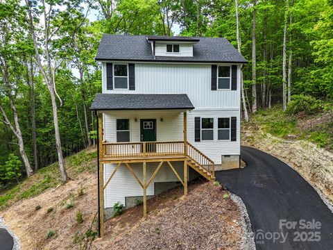 19 N Willow Wood Trail Hendersonville NC 28739