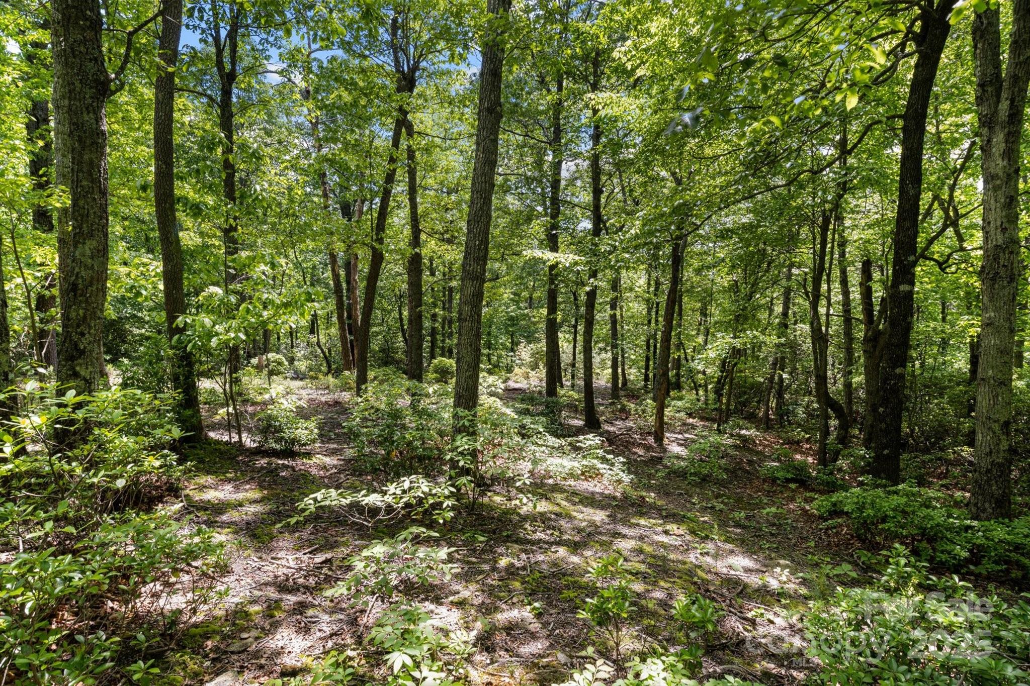 99999 Arrowhead Trail 80