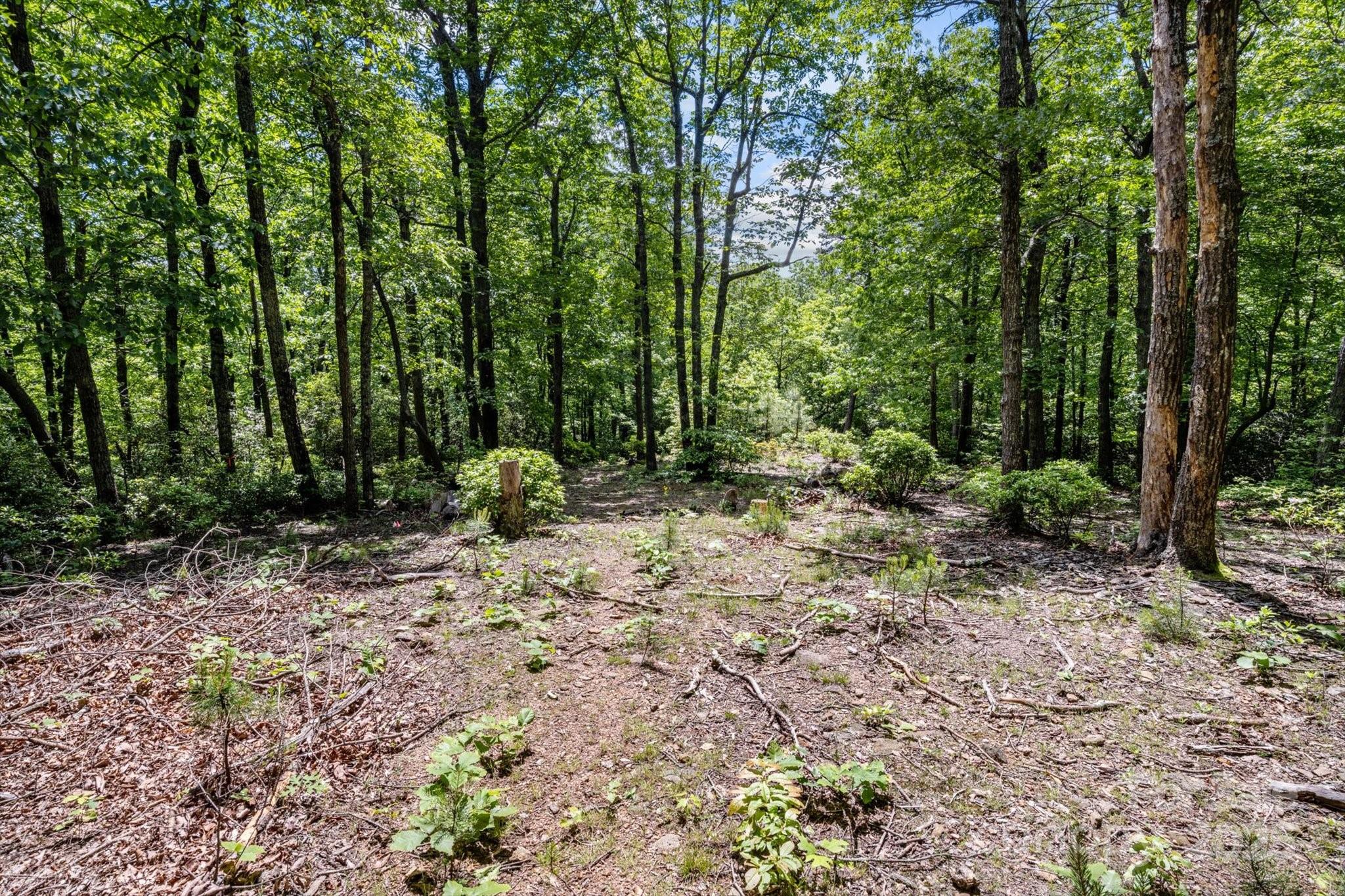 99999 Arrowhead Trail 80