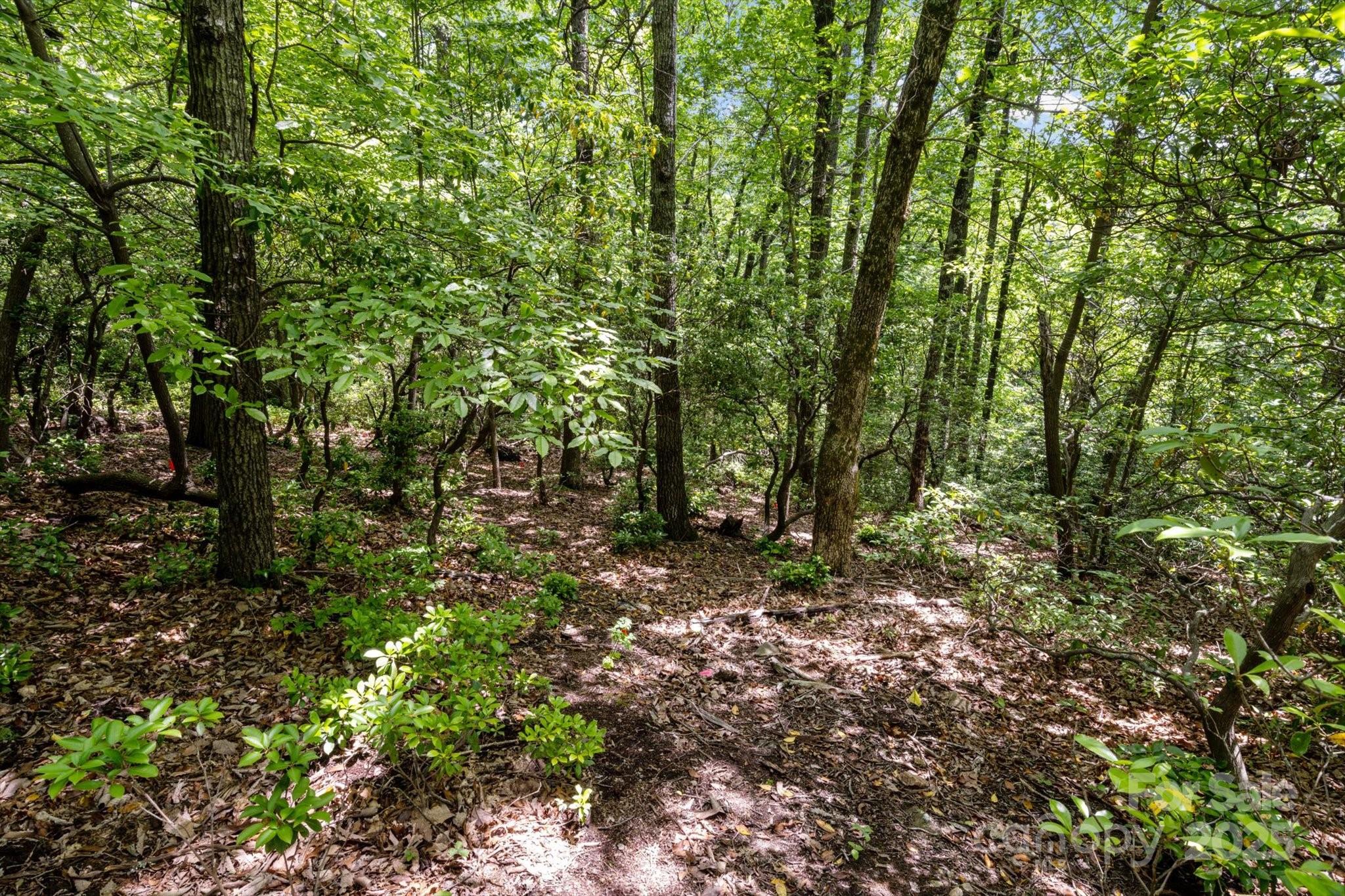 99999 Arrowhead Trail 80