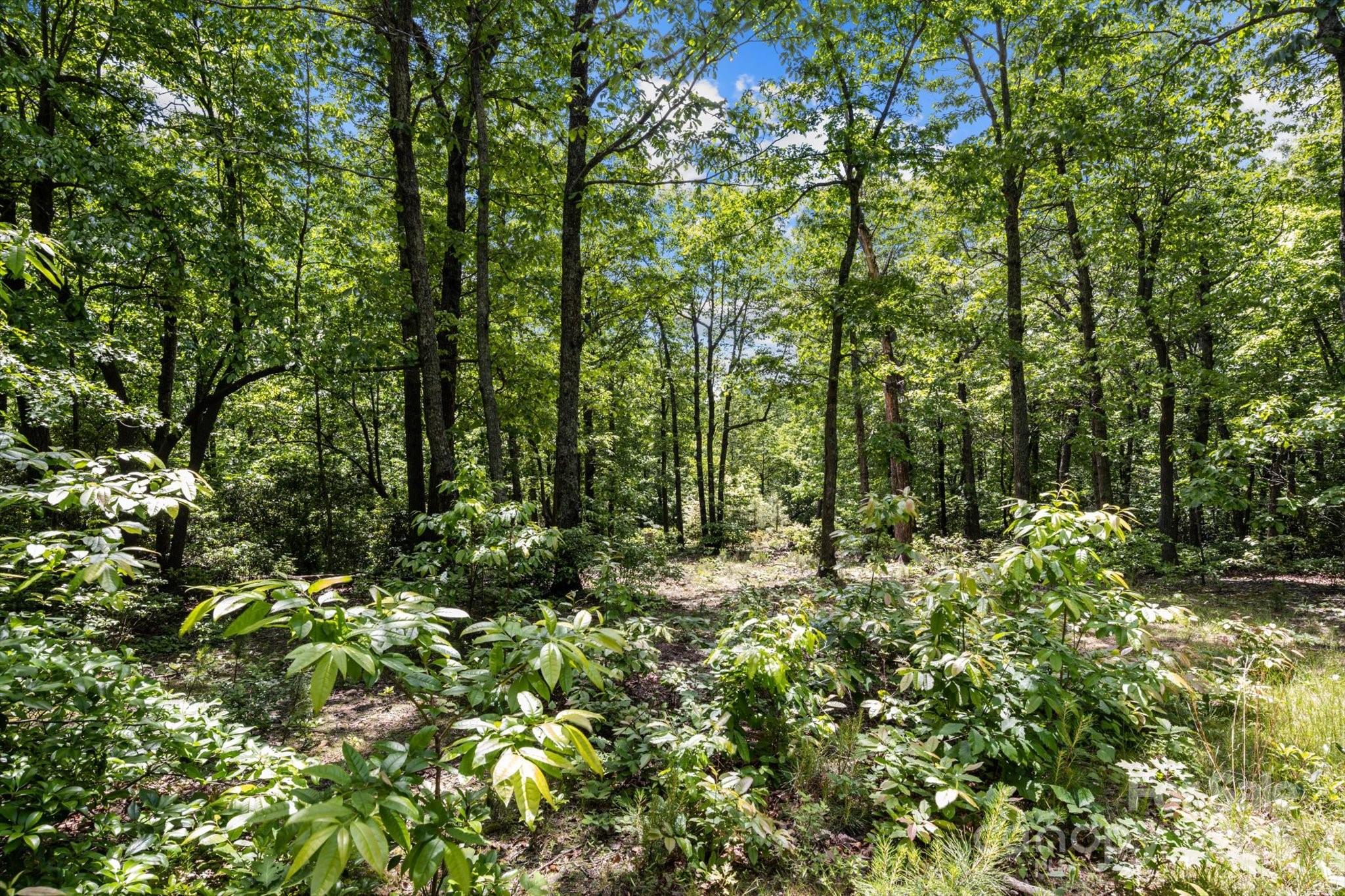 99999 Arrowhead Trail 80