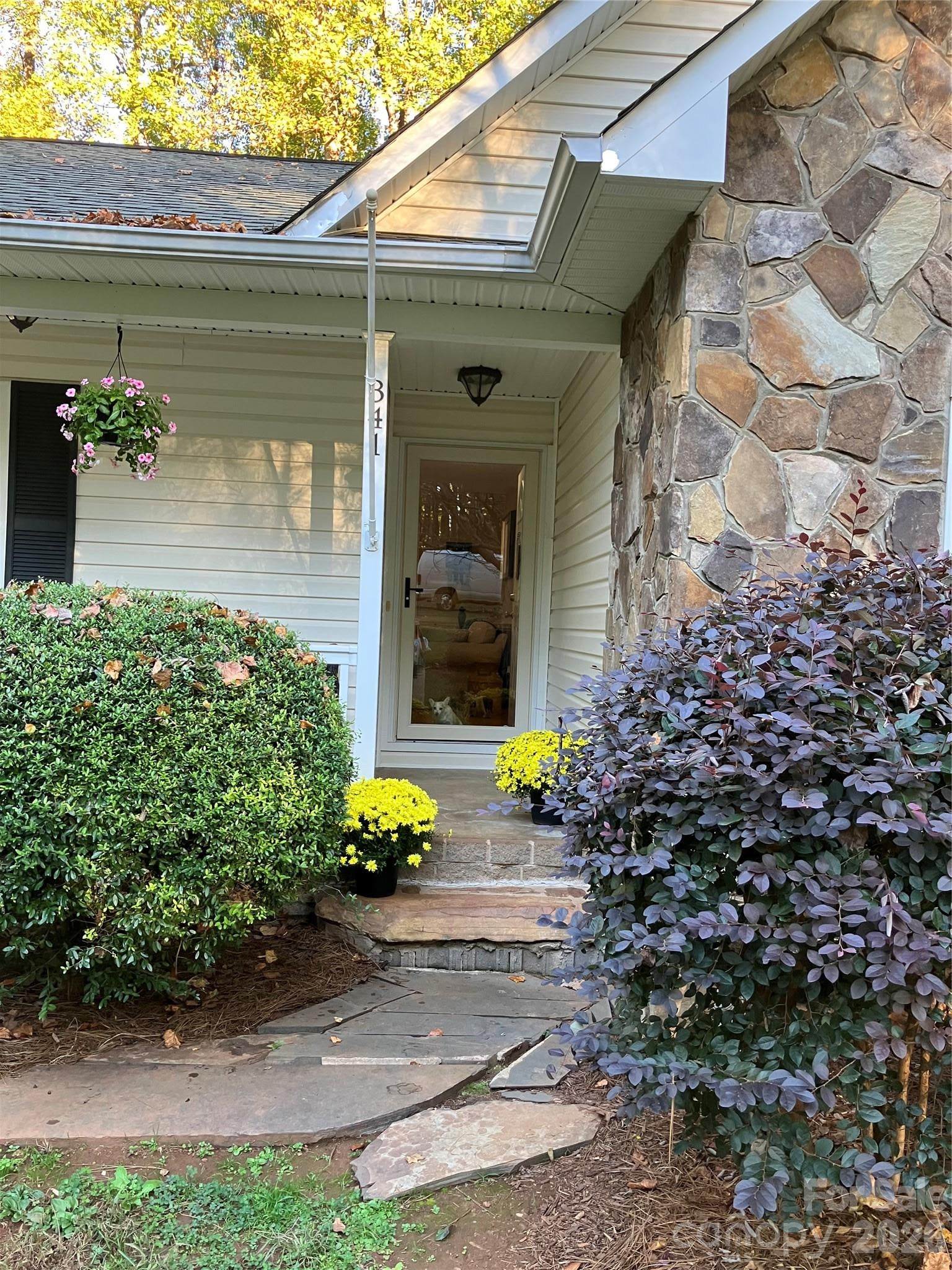341 S Main Street