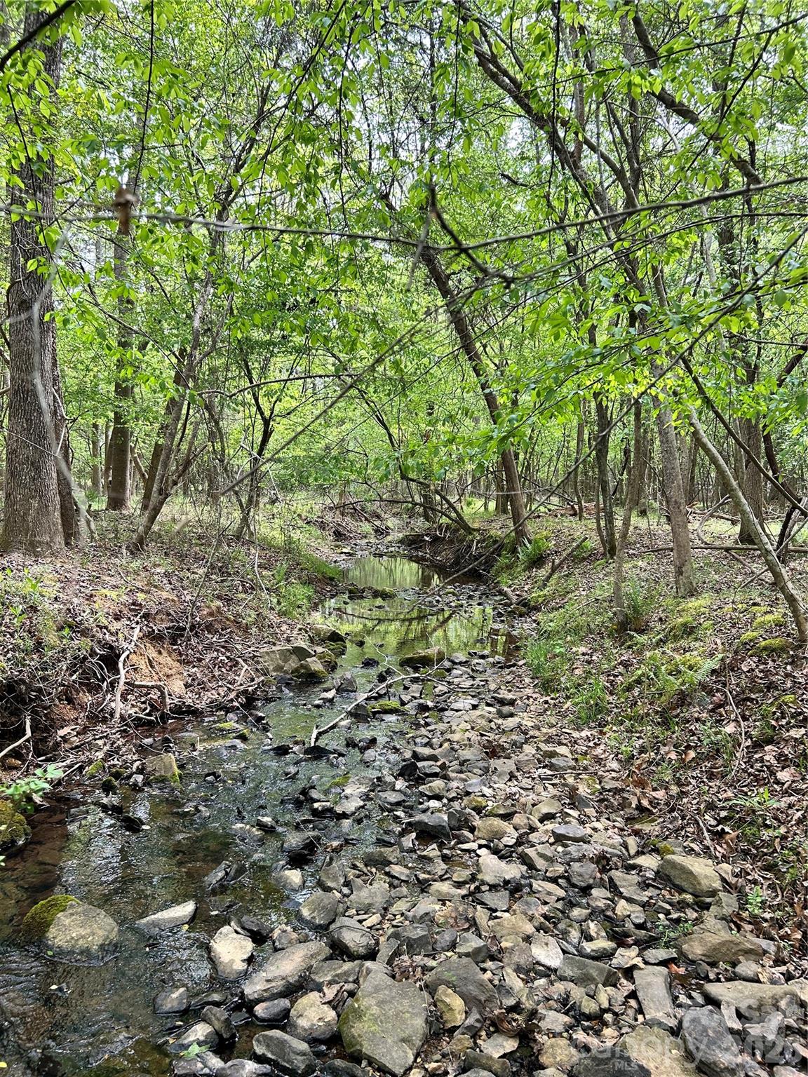 7918 Silver Maple Lane