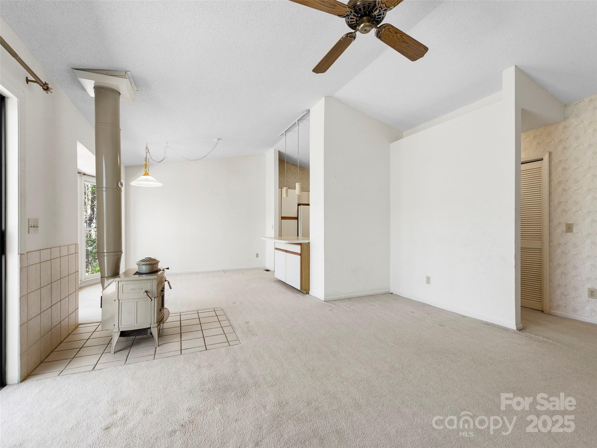 207 Trappers Trail