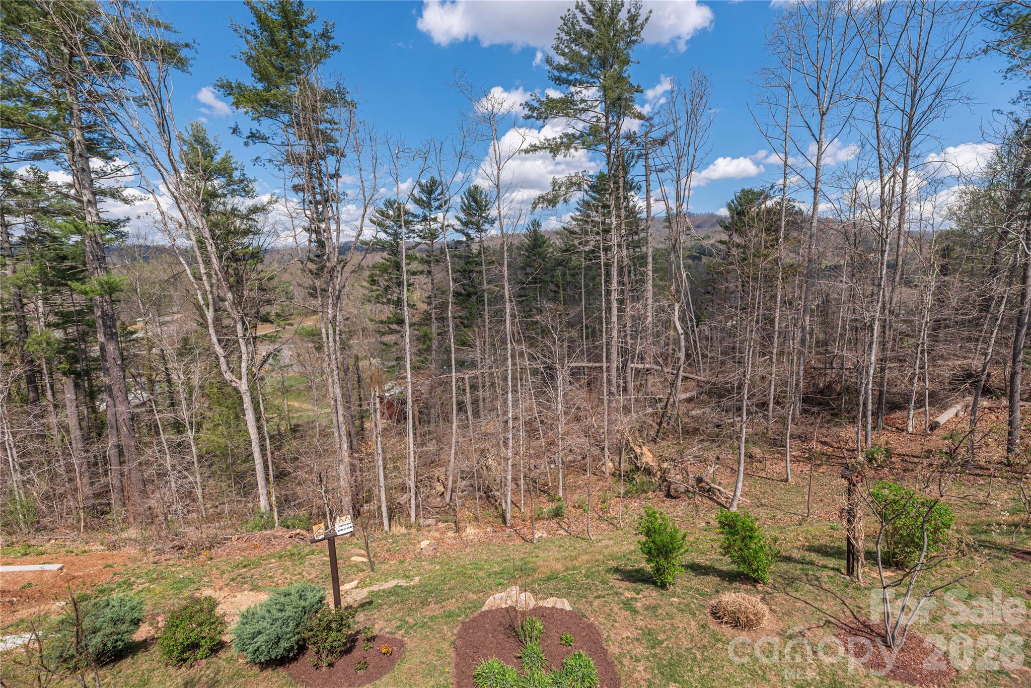 Maple Trace - Residential