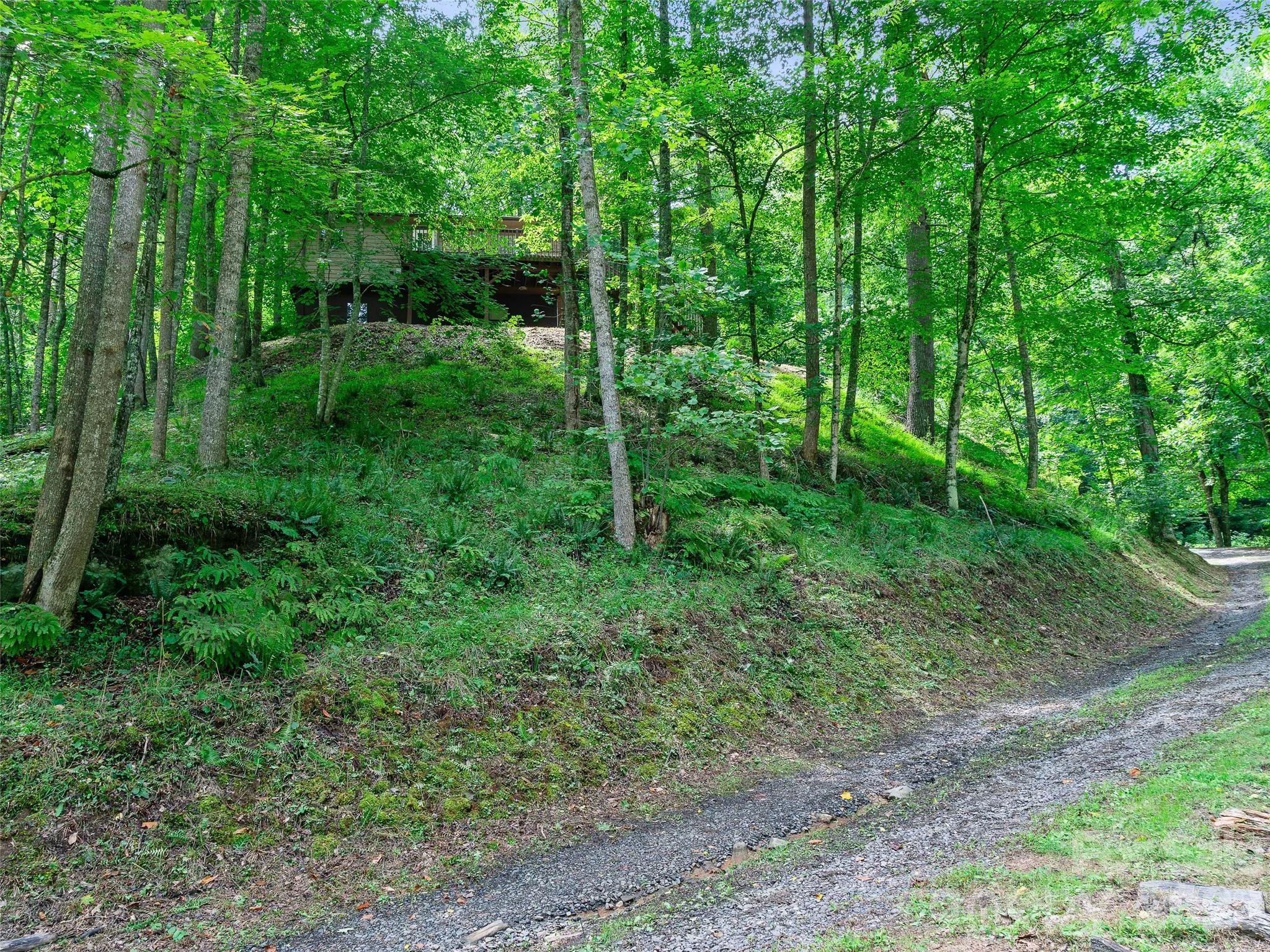 9851 Double Island Road, Green Mountain, NC, 28740