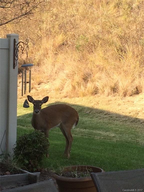 Lake Shore On Lake Wylie - Residential