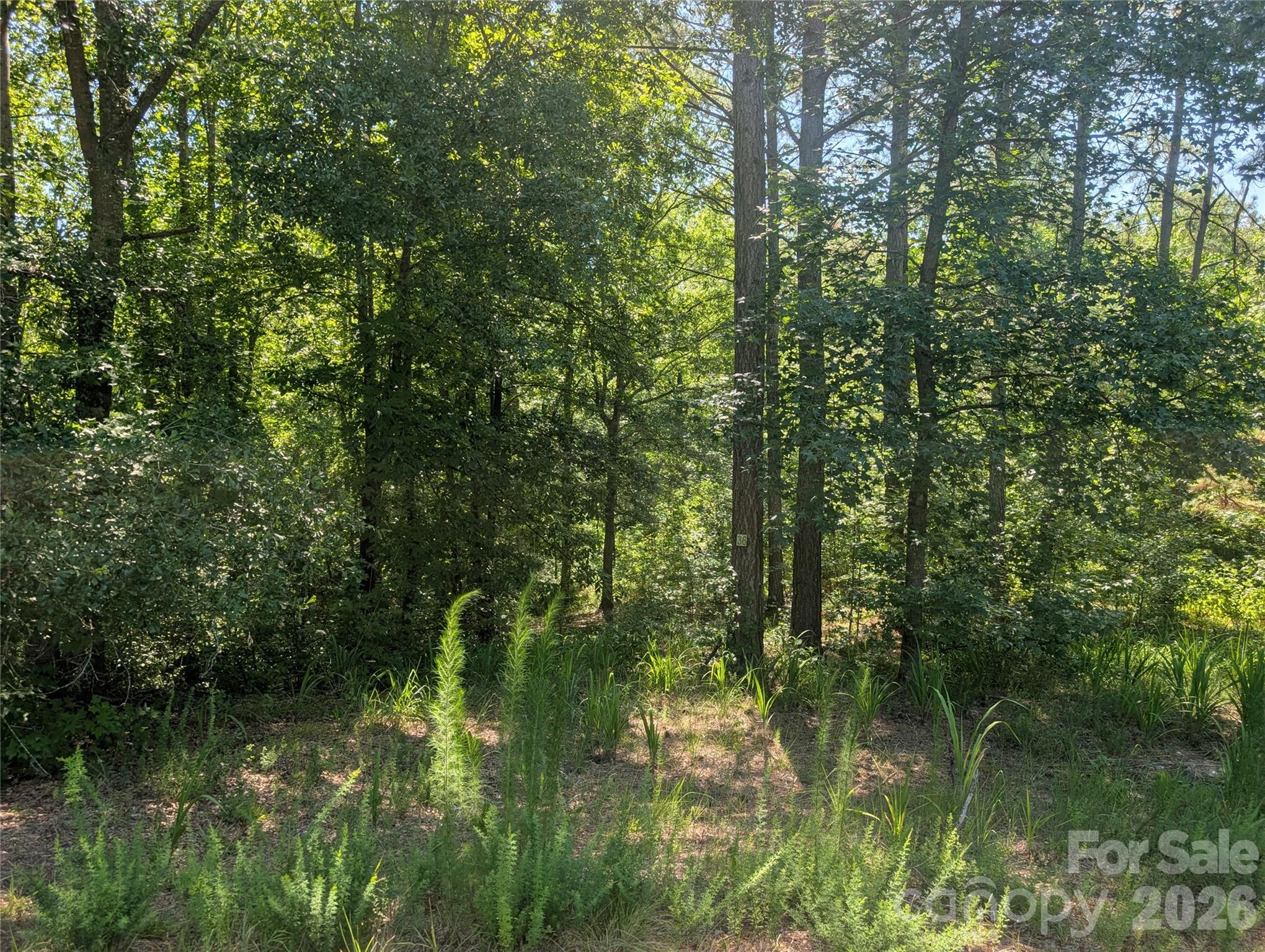 120 Scenic Ridge Drive 36