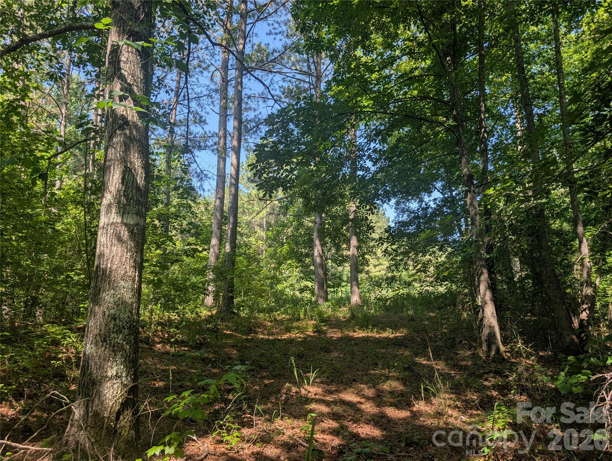 120 Scenic Ridge Drive 36