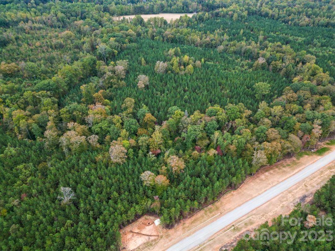 The Forest at Beth Haven - Land