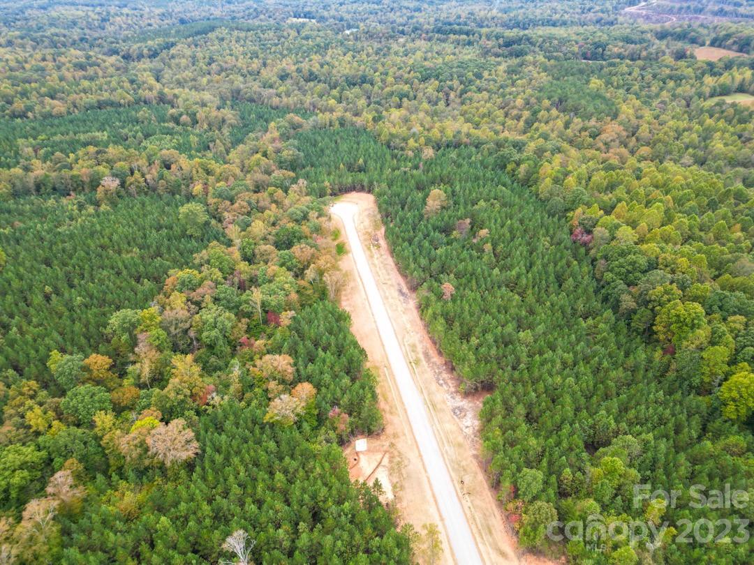 The Forest at Beth Haven - Land