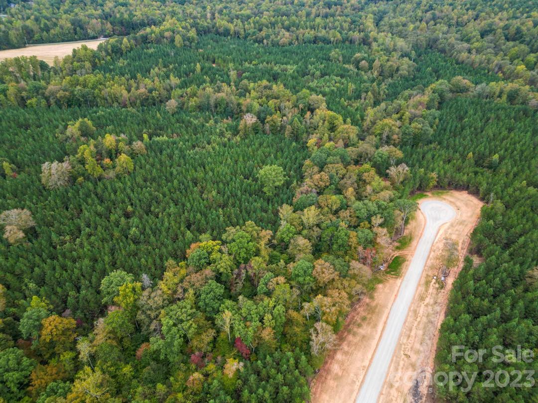 The Forest at Beth Haven - Land