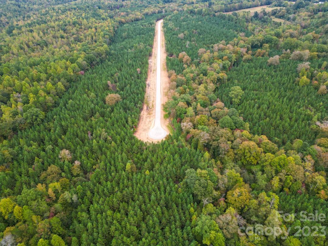 The Forest at Beth Haven - Land