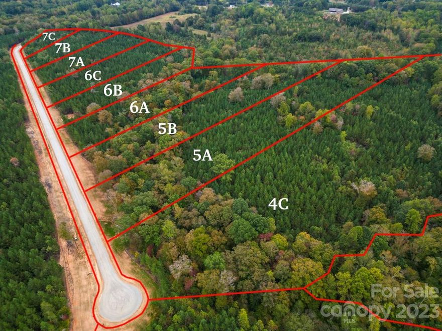 Welcome to a serene slice of paradise in Lincoln County! Nestled in a peaceful country setting, these large private wooded lots offer an extraordinary opportunity to build your dream home exactly as you envision it. With low Lincoln County taxes, this is the perfect chance to embrace the rural charm of the area without sacrificing modern conveniences and amenities. Having complete freedom to choose your own builder, the canvas is yours to paint. Craft a residence that perfectly mirrors your vision, from the architectural style to the layout, ensuring every corner of your future home reflects your unique taste. Embrace the idyllic charm of the countryside while remaining conveniently close to the necessities of daily life.