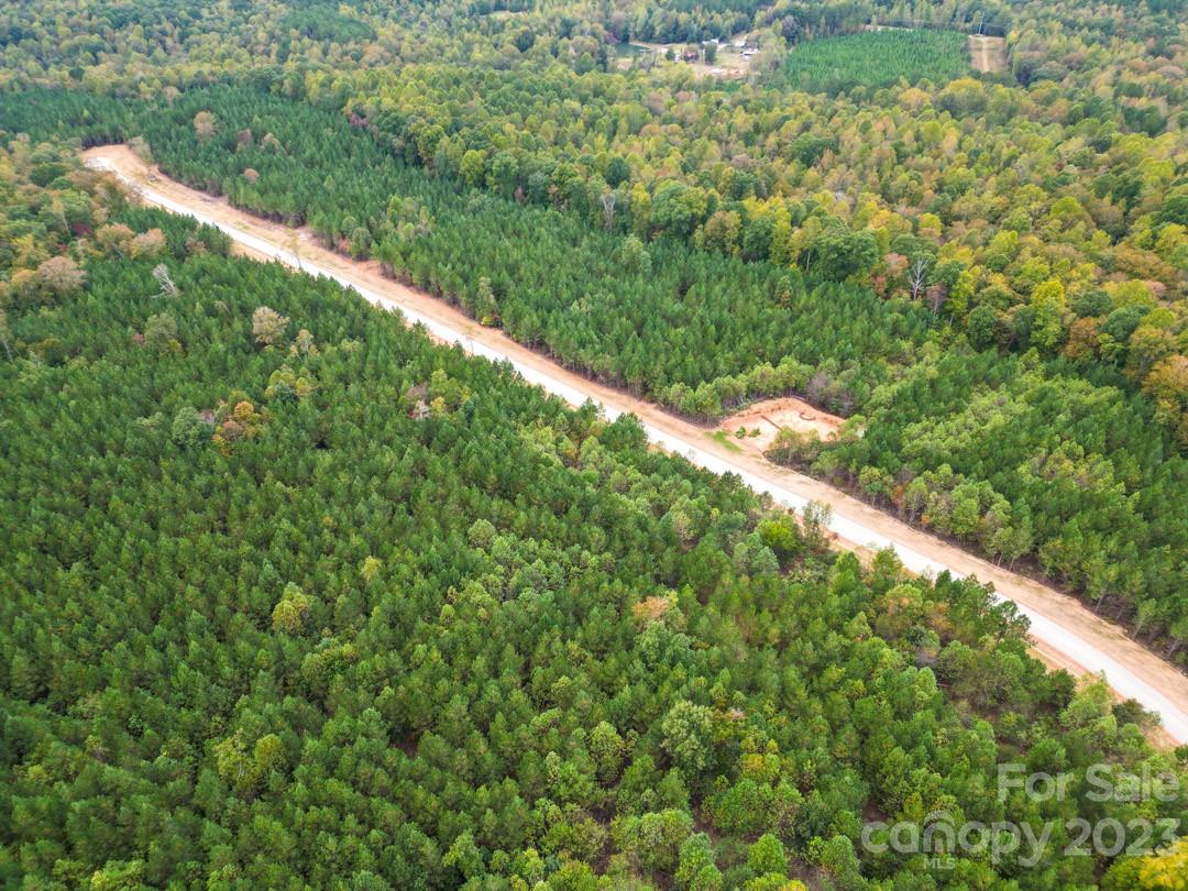 The Forest at Beth Haven - Land