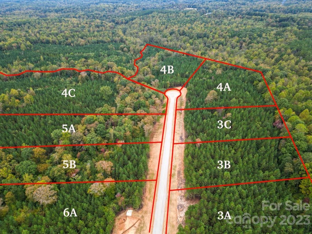 The Forest at Beth Haven - Land