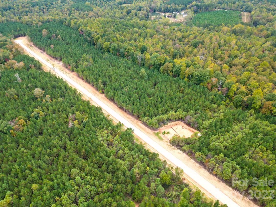 The Forest at Beth Haven - Land