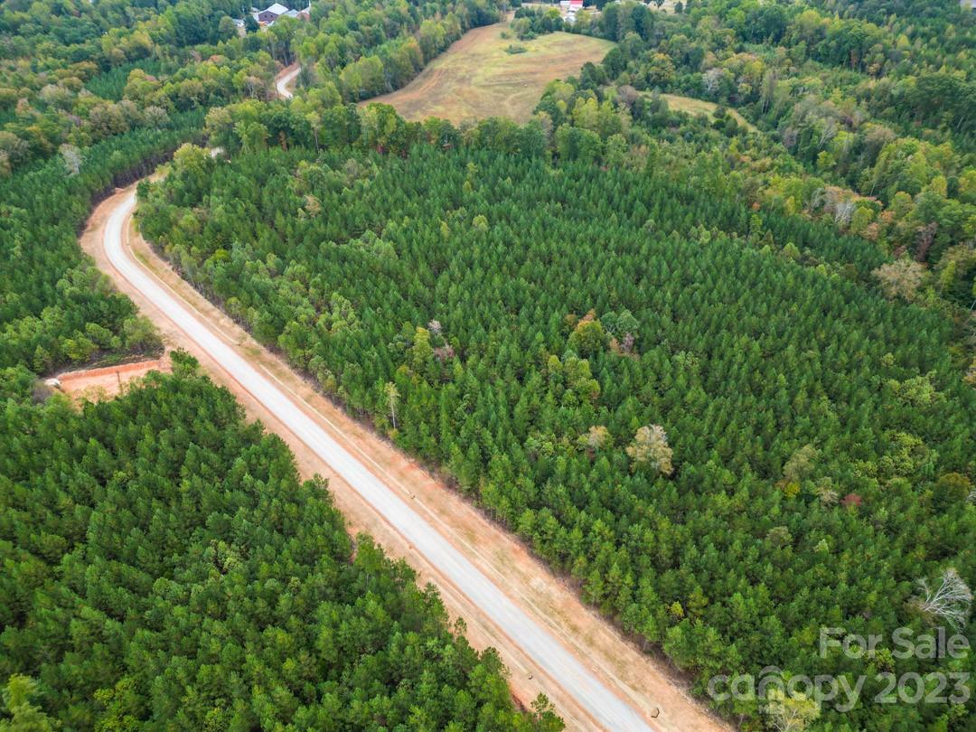The Forest at Beth Haven - Land