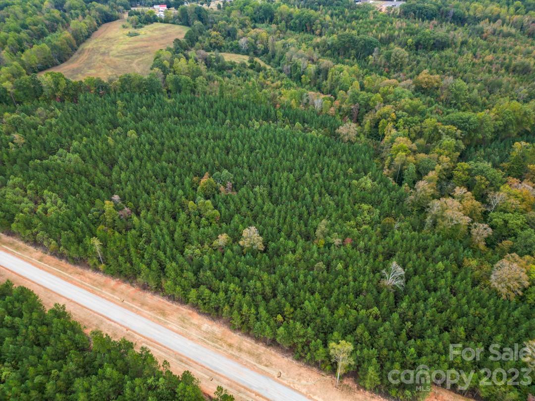 The Forest at Beth Haven - Land