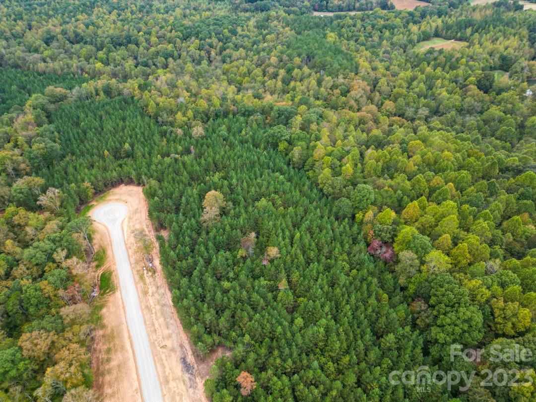 The Forest at Beth Haven - Land