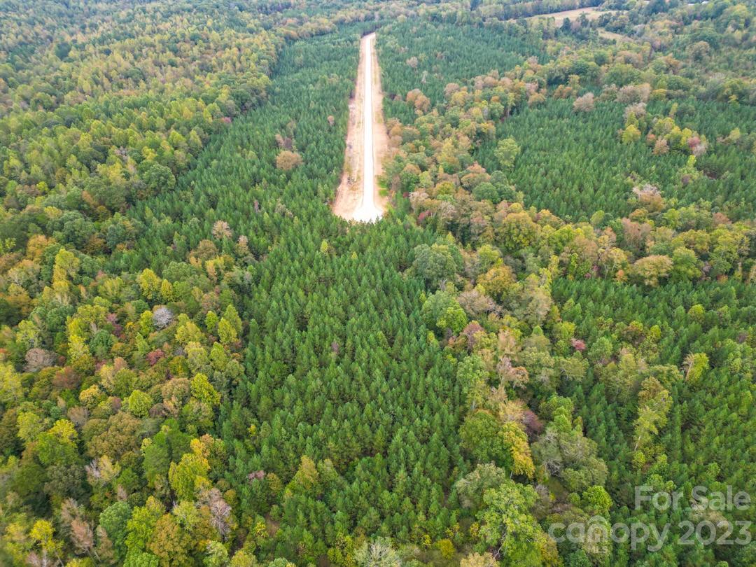 The Forest at Beth Haven - Land