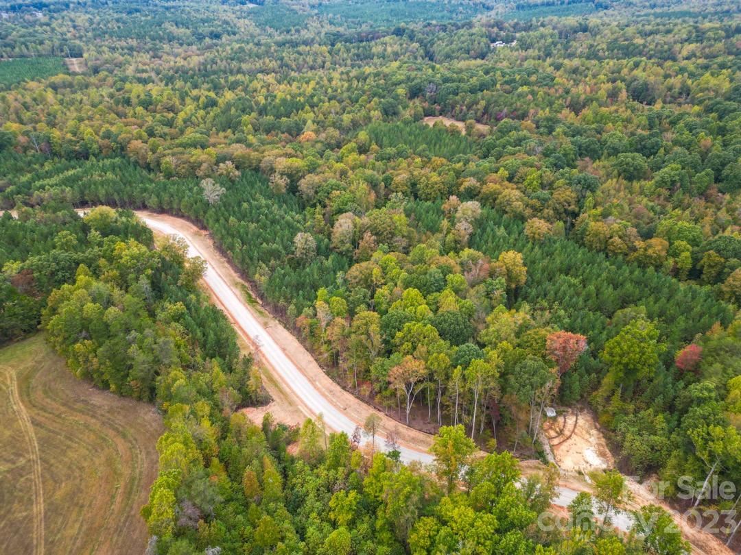 The Forest at Beth Haven - Land