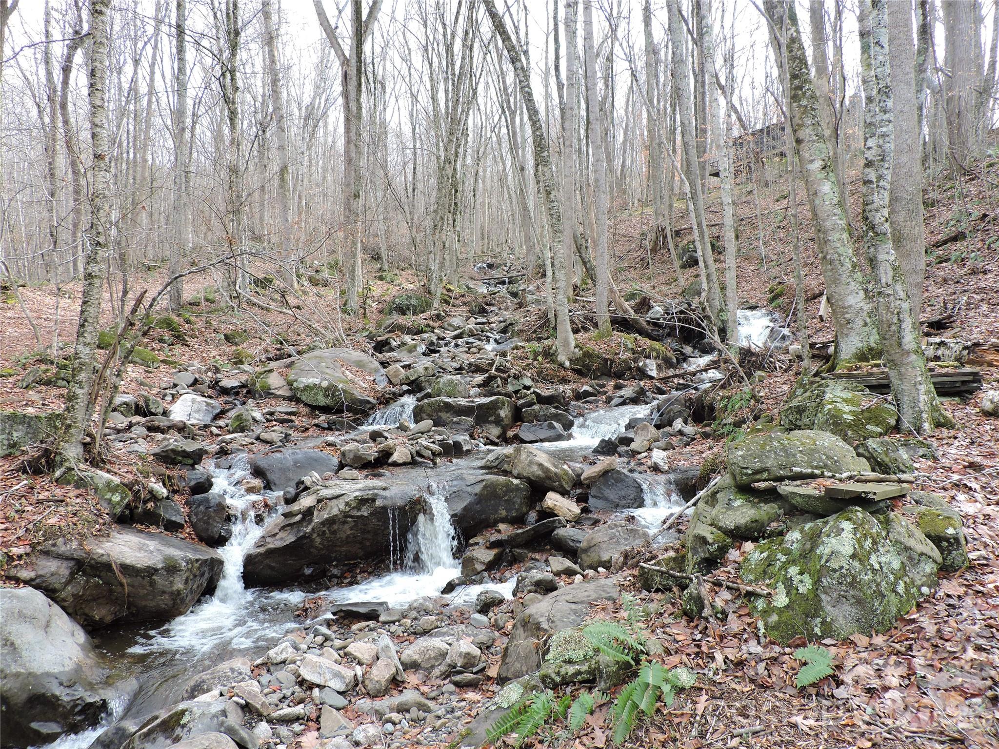 Amber Ranches - Land