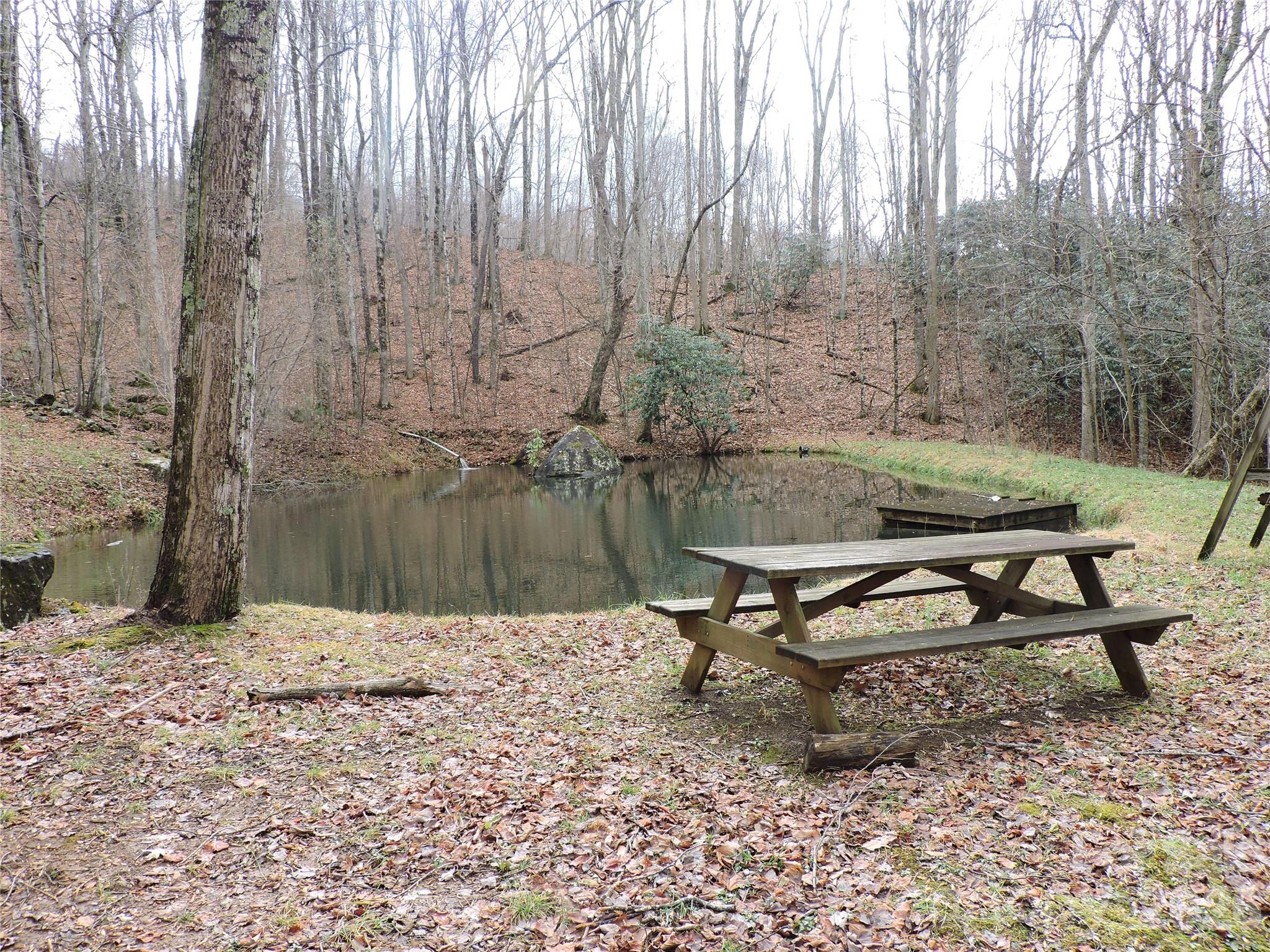 Amber Ranches - Land