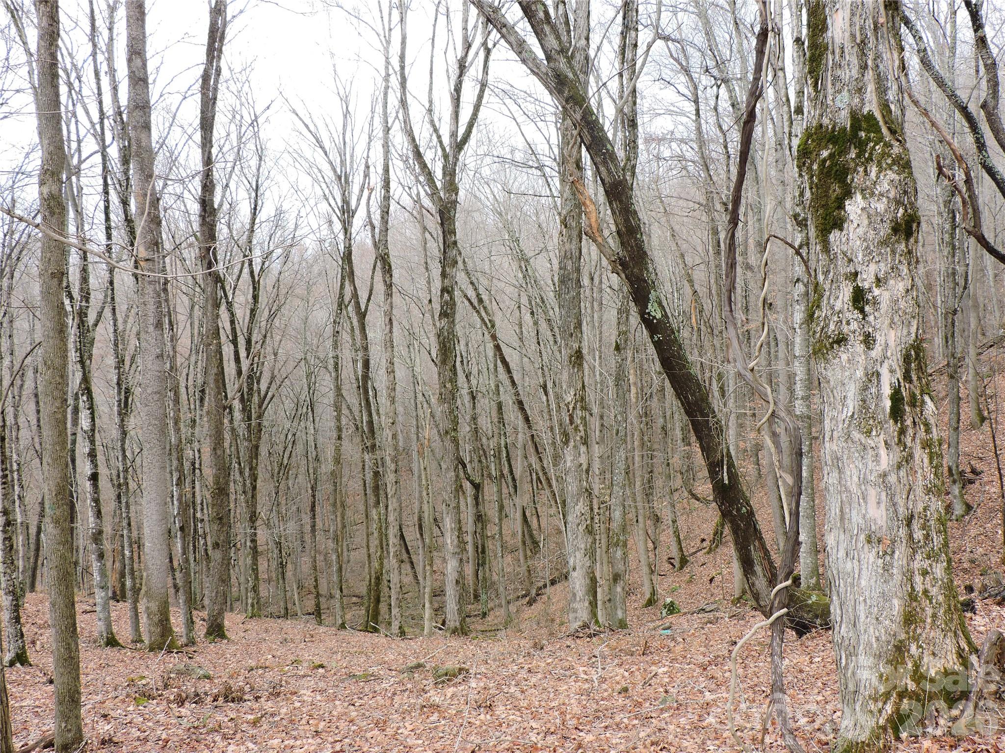 Amber Ranches - Land