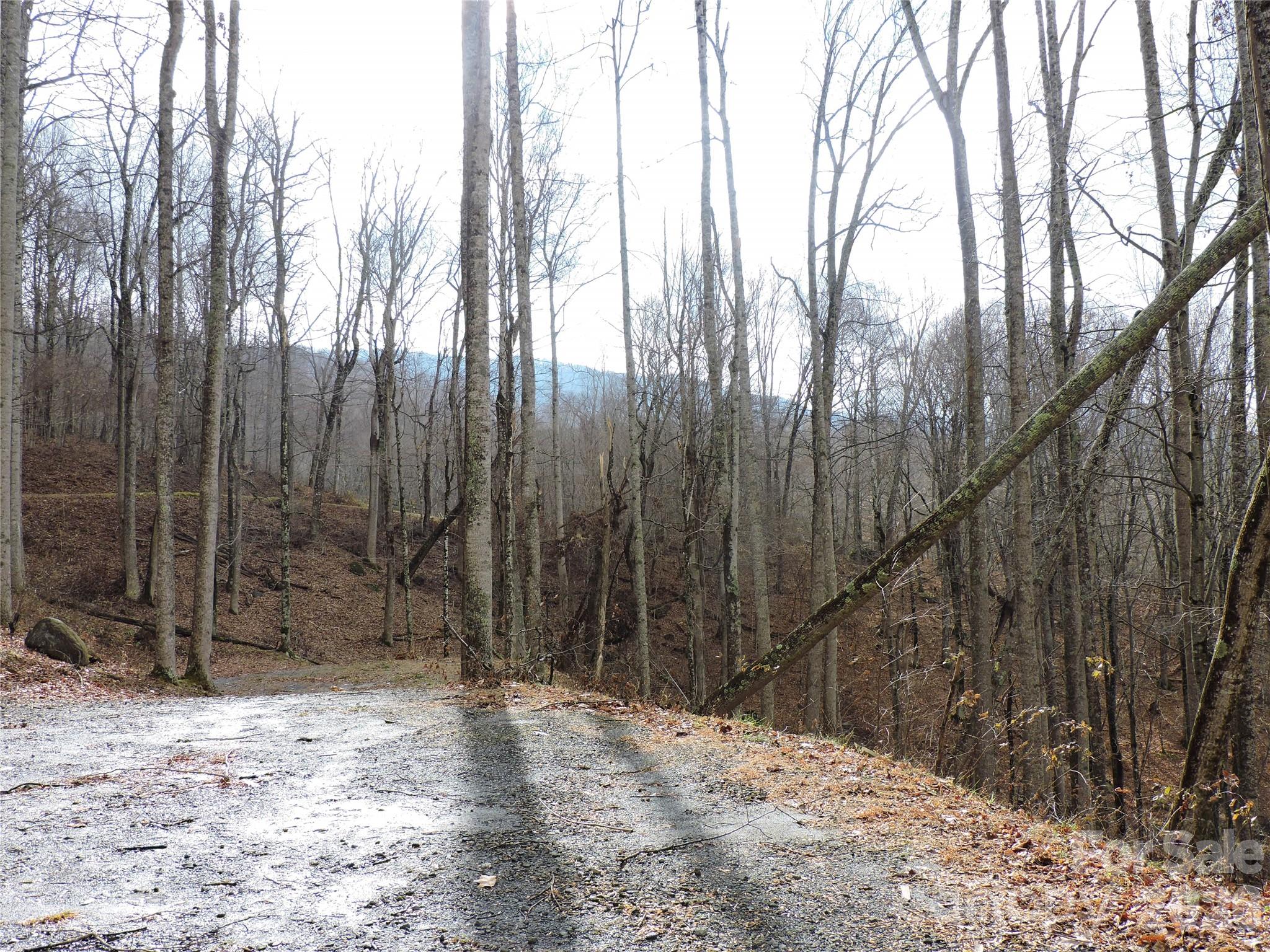 Amber Ranches - Land