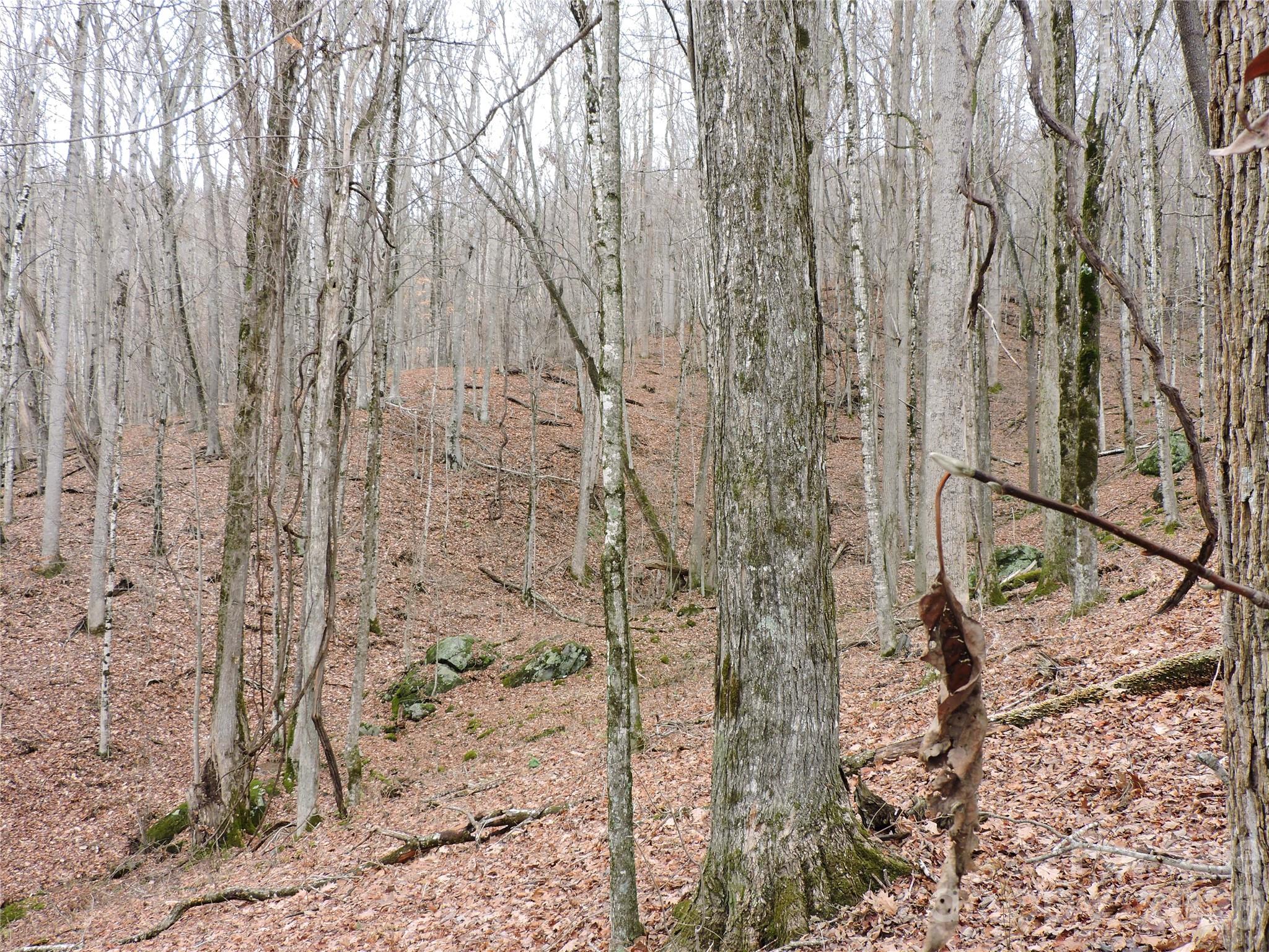 Amber Ranches - Land