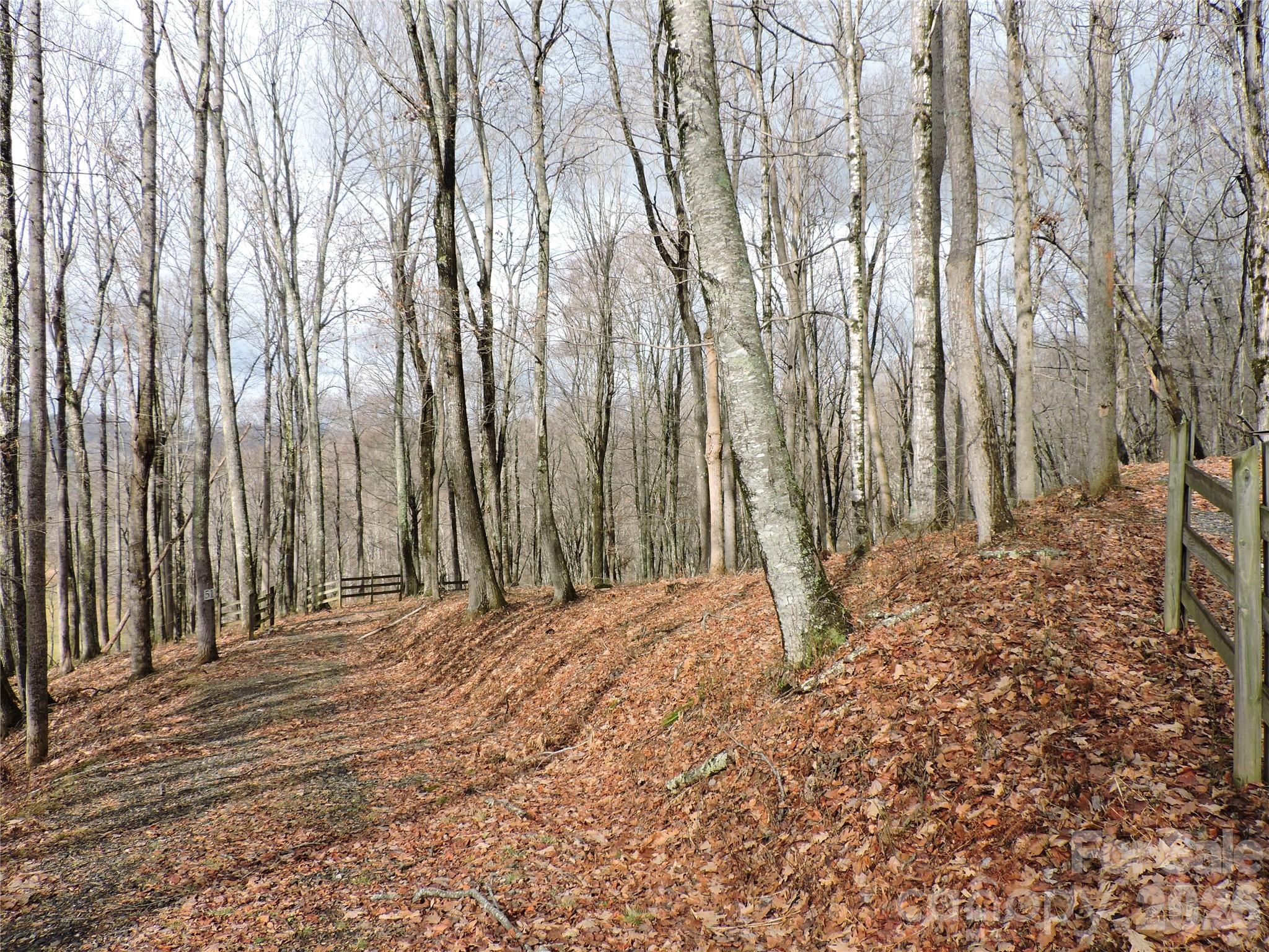 Amber Ranches - Land