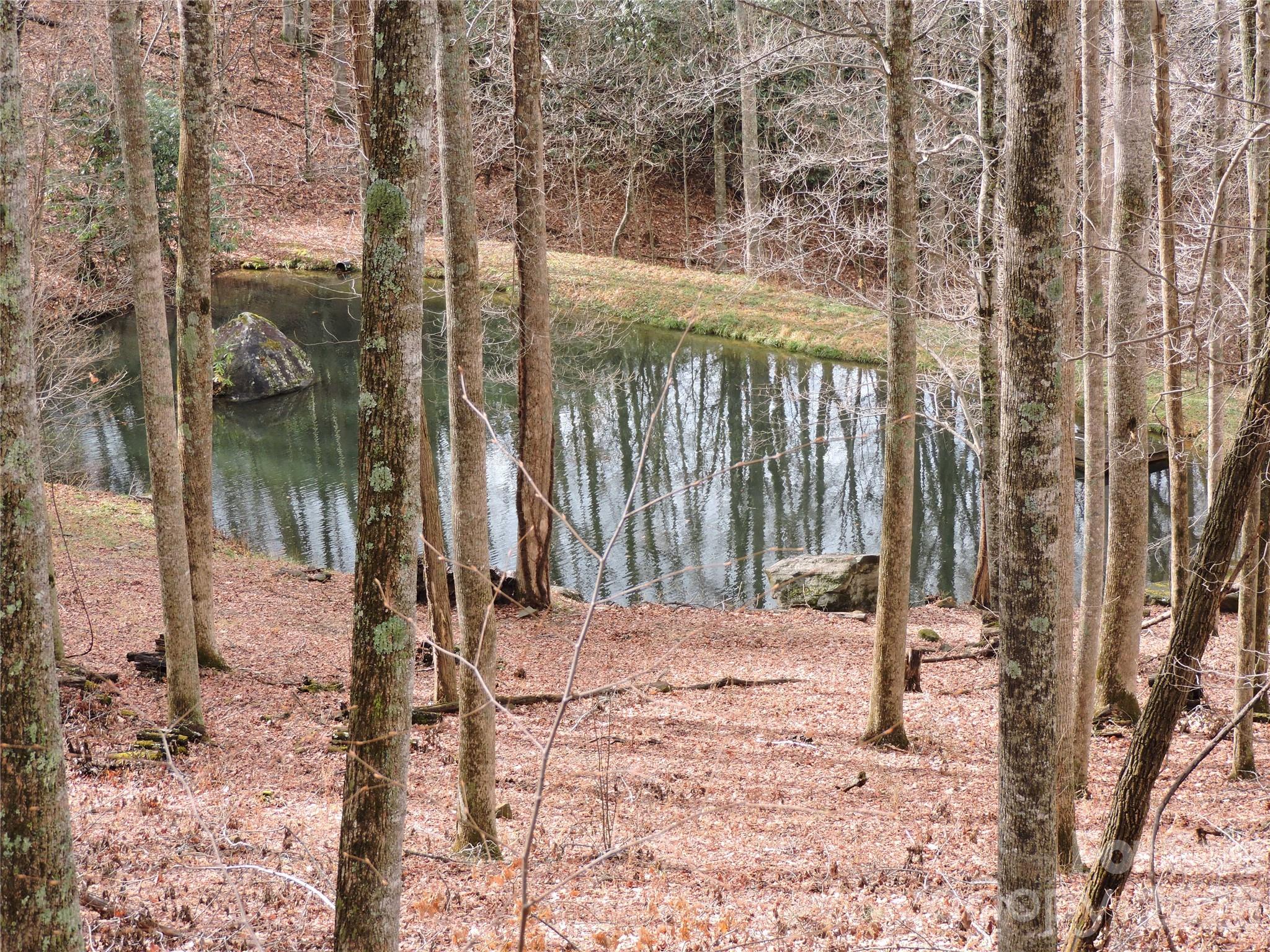 Amber Ranches - Land