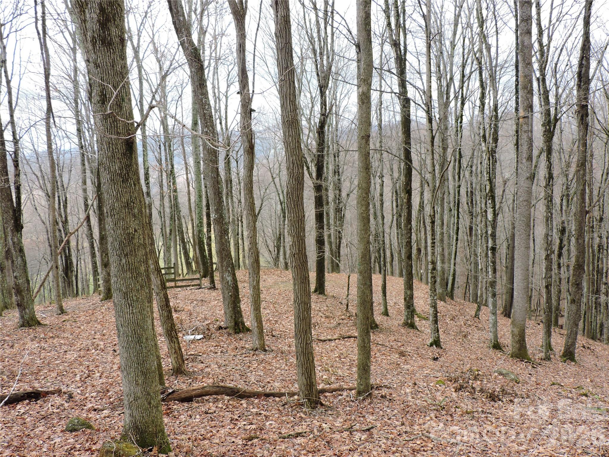 Amber Ranches - Land