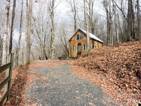 191 Bens Bend Bakersville NC 28705