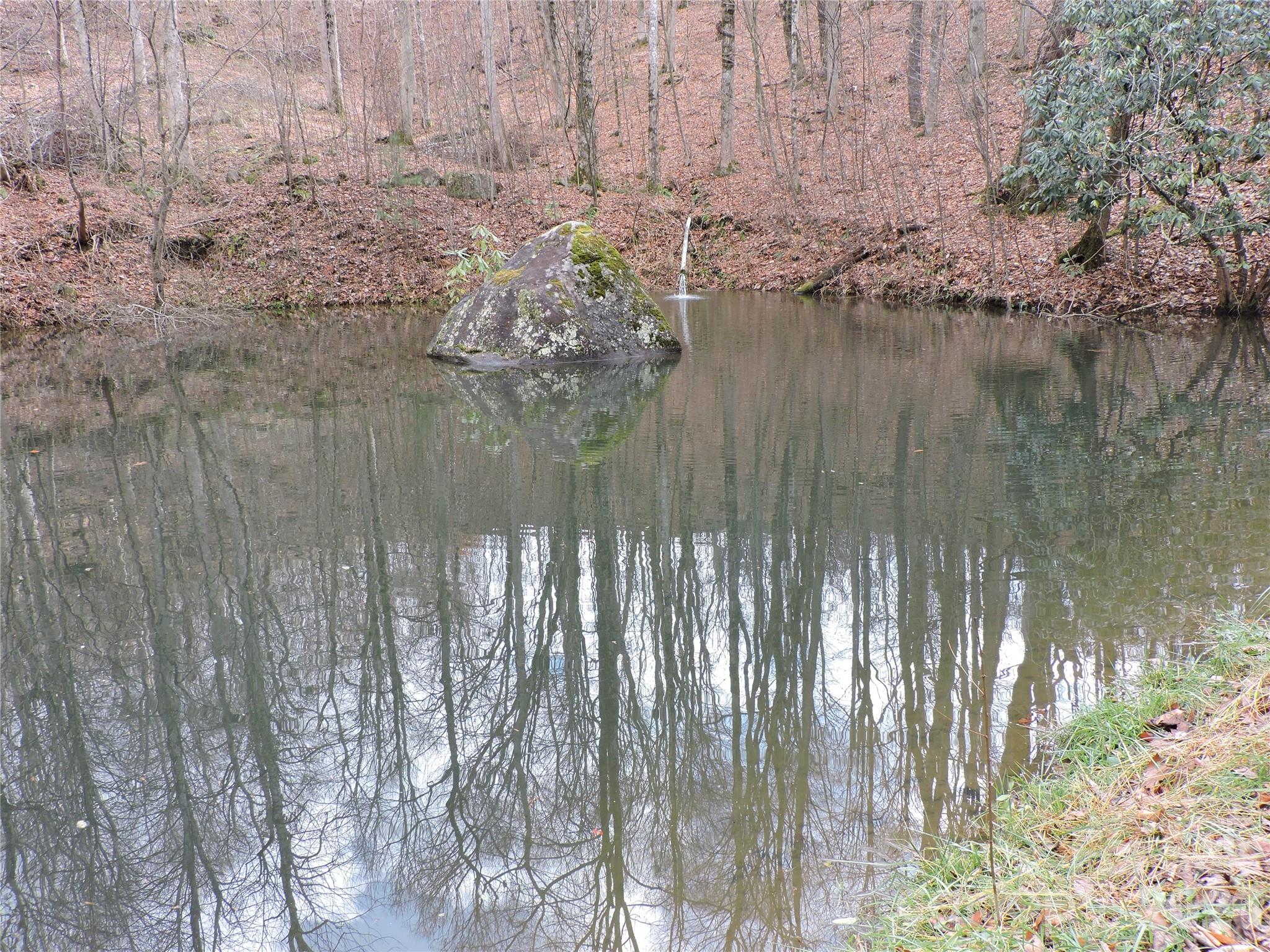 Amber Ranches - Land