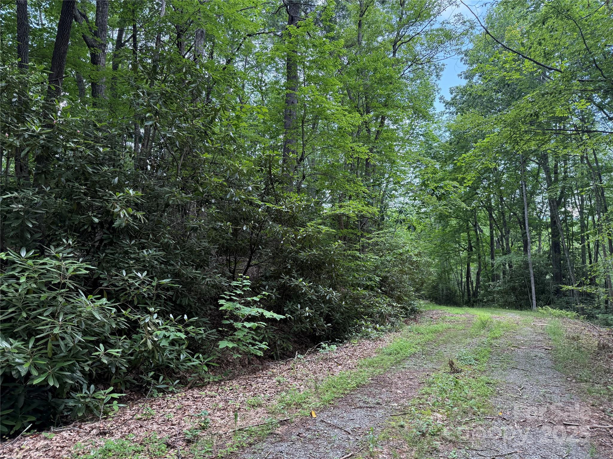 TBD Red Clover Road