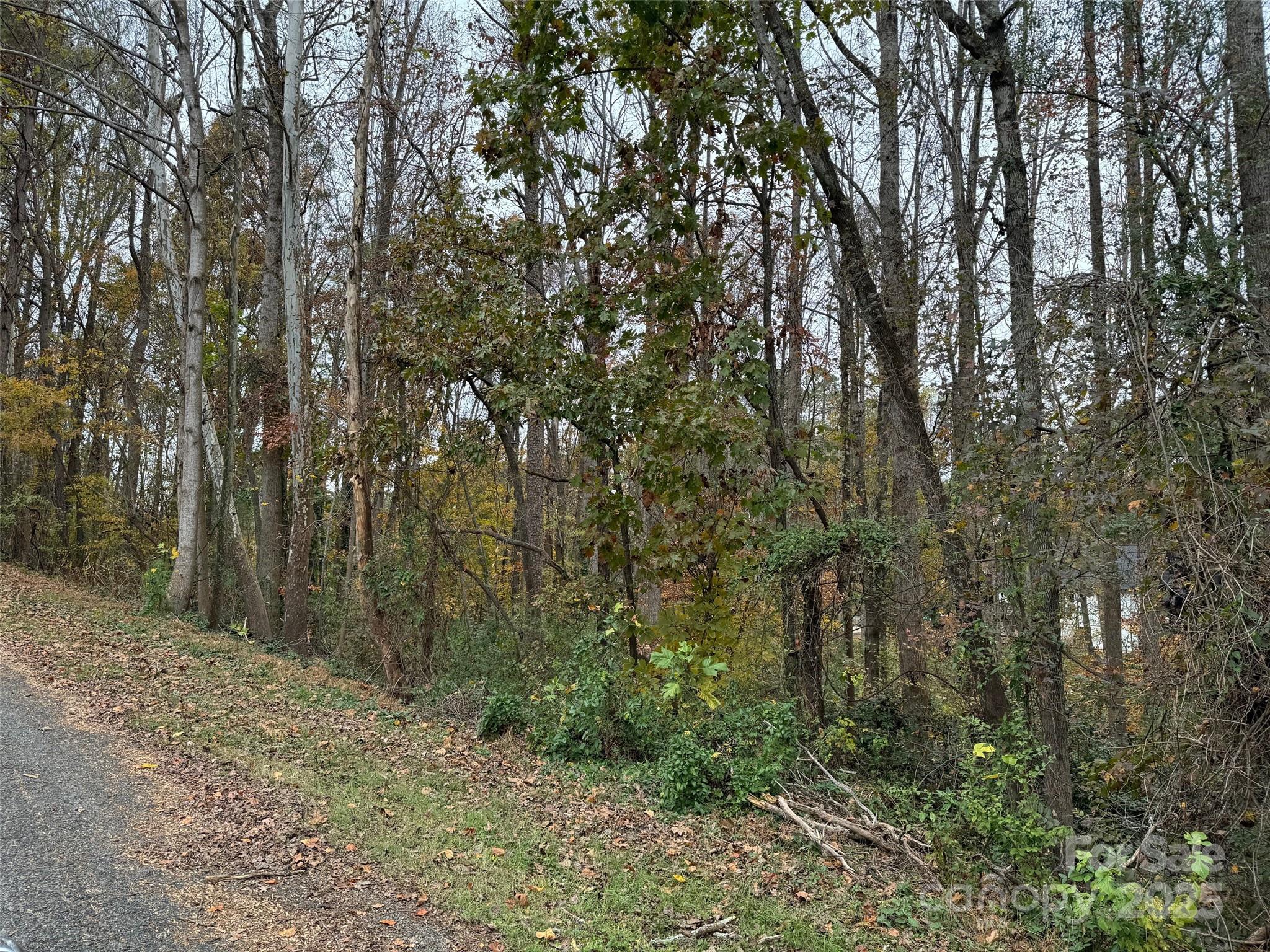 TBD Cardinal Loop 9,10,11