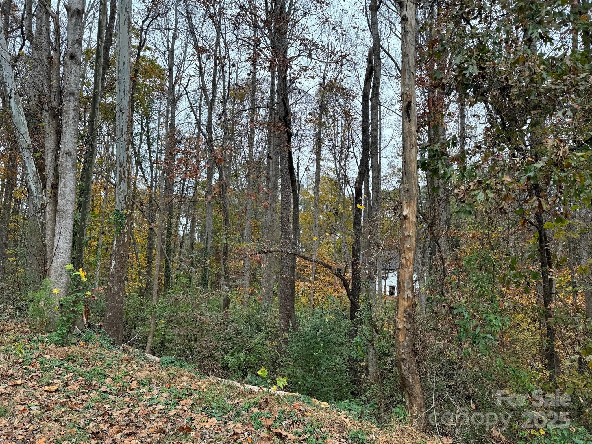 TBD Cardinal Loop 9,10,11