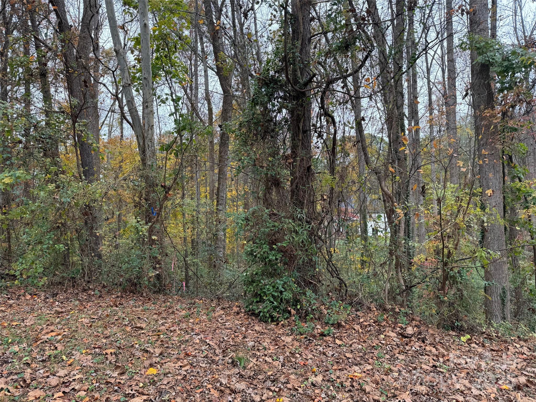 TBD Cardinal Loop 9,10,11