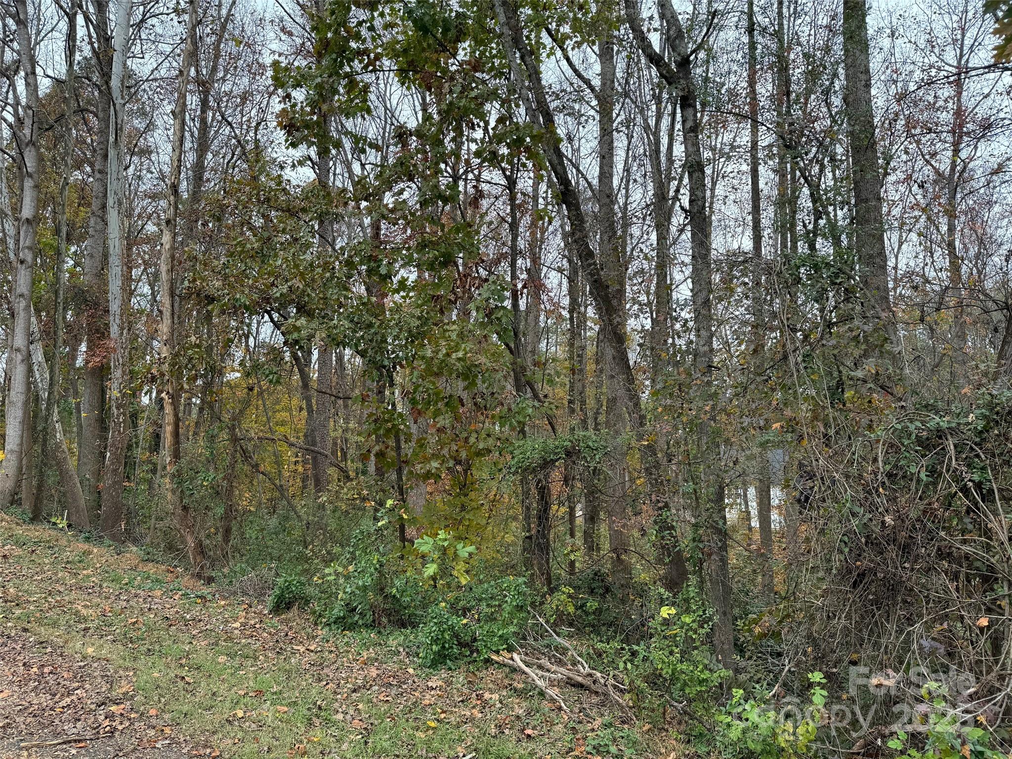 TBD Cardinal Loop 9,10,11