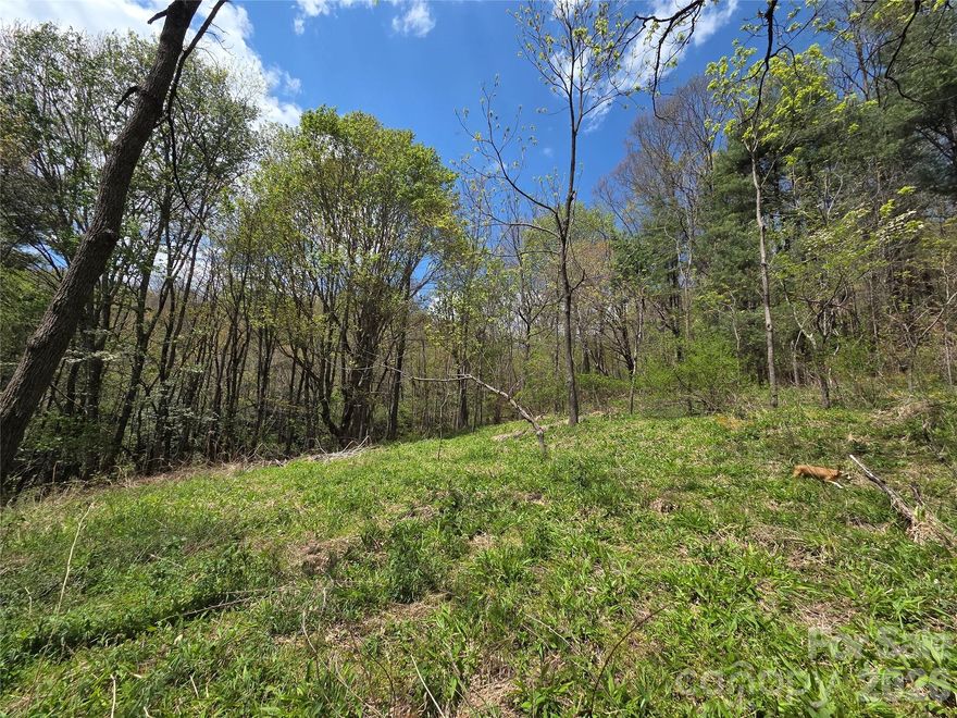 Bring your dreams to life on this gently rolling 11.50-acre unrestricted parcel in beautiful Glenville, NC. With two springs and a semi-cleared spot perfect for building, the land is ideal for a home, a mini-farm, or a creative investment project. Peaceful, usable acreage like this doesn’t come around often.