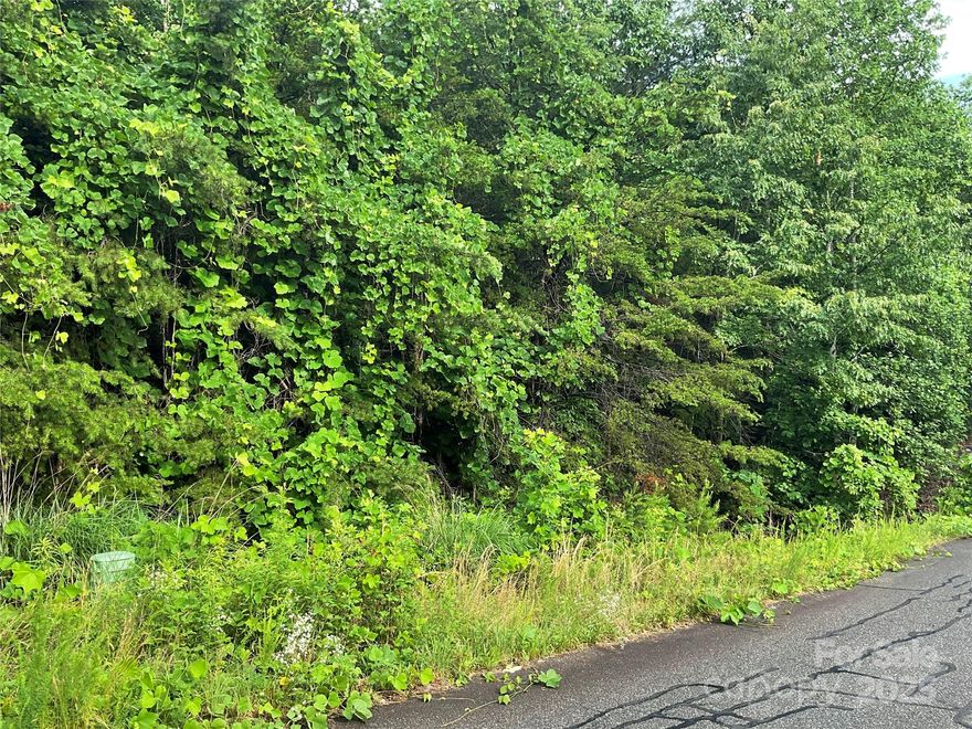 This private, .58 wooded lot is in an established subdivision known for its beautiful homes. Enjoy the benefits of no city taxes due to its location just outside city limits. The property offers convenient access to I-40 and Hwy 321, providing a short drive to Hickory, Statesville, Morganton, and Lenoir. It's also easily accessible to Appalachian State University, Lenoir-Rhyne University, Garner-Webb University, and the Blue Ridge Parkway.