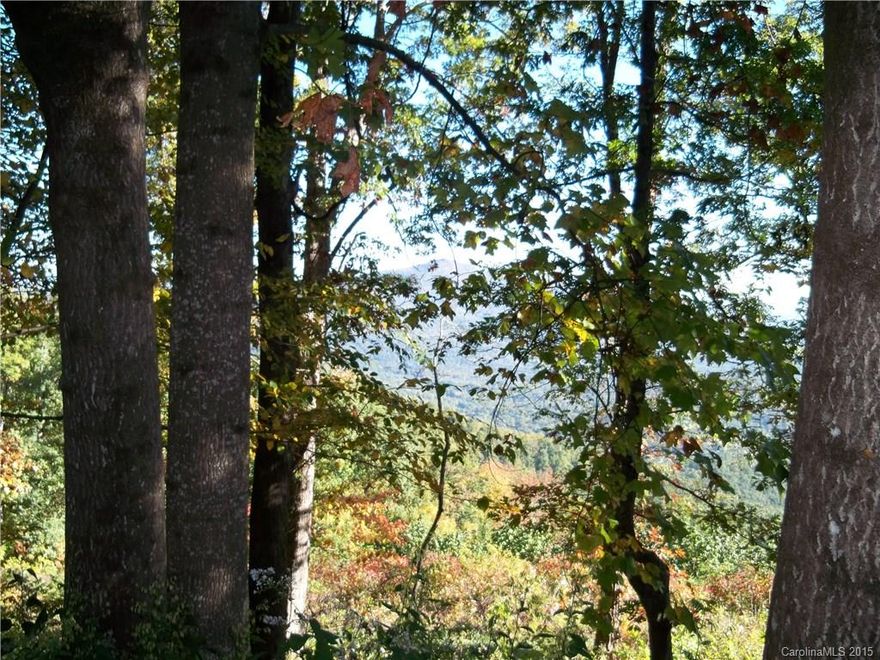Building lot with views in Melrose Mountain subdivision.  Lot has frontage on Little Falls Road with a driveway roughed in.  Community water available, septic system would be required.  Choose your home site to maximize the long range view.  Community has 2 lakes and quiet roads for walking.